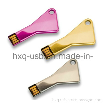 Key USB Flash Disk (HXQ-KD005)